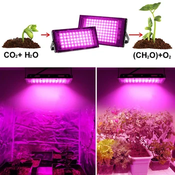 50w 200w viso Spektro LED augalų lempos Augti Šviesos vis apšvietimo Fito efektą Sukeliančių Hydroponic Augalų Augimo growtbox palapinė C1