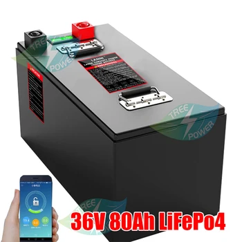 Atsparus vandeniui Lifepo4 baterija 36V 80Ah su BMS už 80lbs 112lbs velkamosiomis motorinių jūros žvejybos laivai +10A įkroviklis